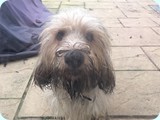 Mum, I took a mud-bath!